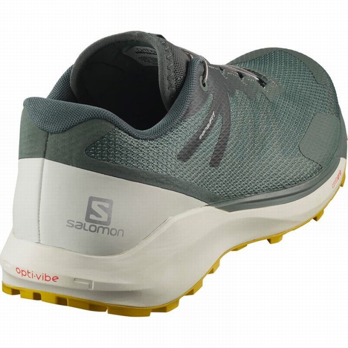 Olive Salomon SENSE RIDE 3 Men's Running Shoes | AE-601NALM