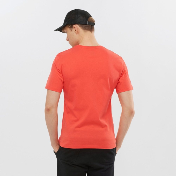 Orange Salomon OUTLIFE GRAPHIC DISRUPTED LOGO SS M Short Sleeve Men's T Shirts | AE-610AZSH