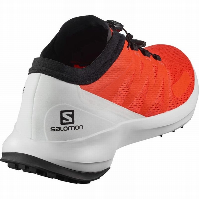 Orange Salomon SENSE FLOW Men's Trail Running Shoes | AE-804GJFL