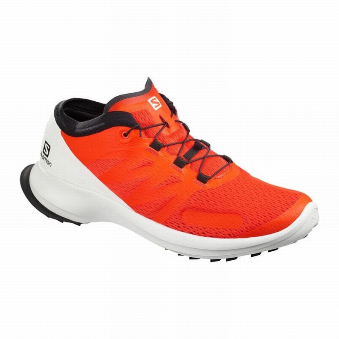 Orange Salomon SENSE FLOW Men\'s Trail Running Shoes | AE-804GJFL