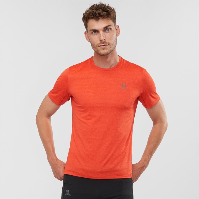 Orangered Salomon XA M Men's T Shirts | AE-941YHPZ