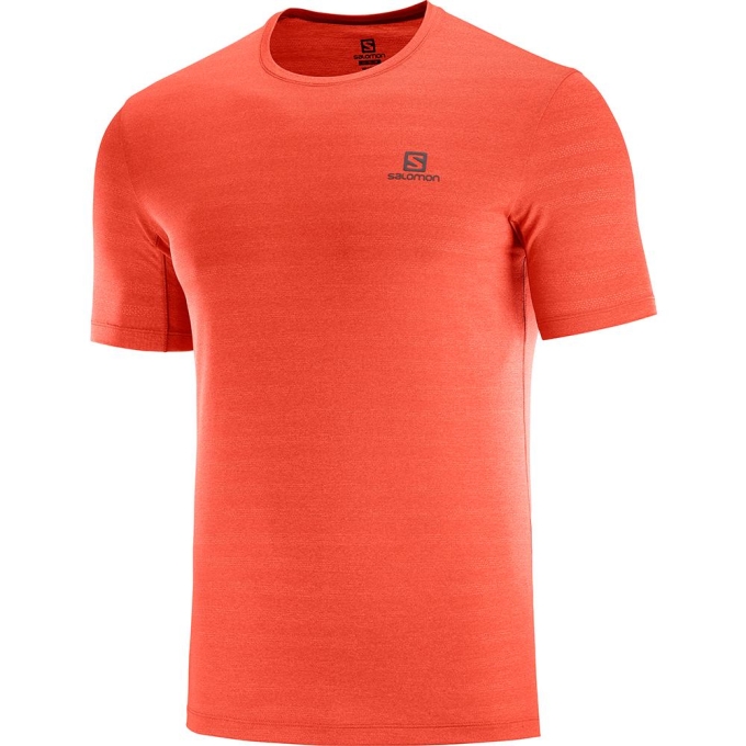 Orangered Salomon XA M Men\'s T Shirts | AE-941YHPZ