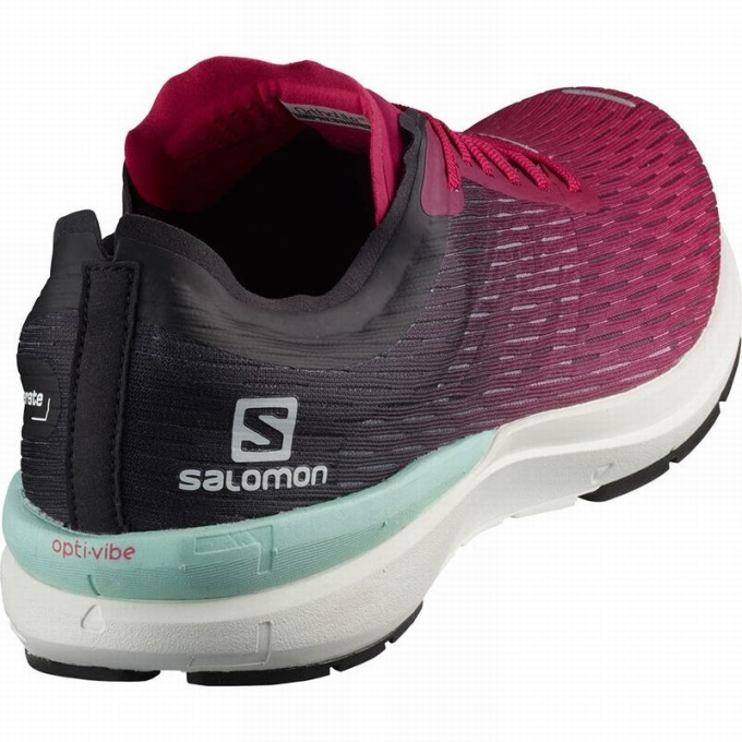 Pink / White Salomon SONIC 3 ACCELERATE W Women's Running Shoes | AE-230ATSM