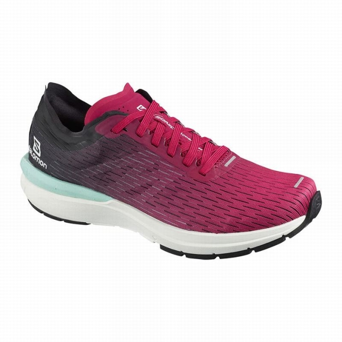 Pink / White Salomon SONIC 3 ACCELERATE W Women\'s Running Shoes | AE-230ATSM