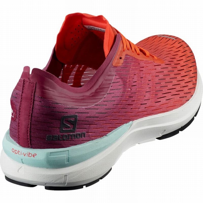 Pink / White Salomon SONIC 3 ACCELERATE Men's Running Shoes | AE-604SAVT