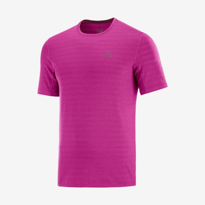 Purple Salomon OUTLINE New Trail Running Gear Men's T Shirts | AE-684ZNXF