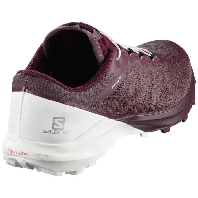 Purple Salomon SENSE PRO 4 W Women's Road Running Shoes | AE-149KMPG