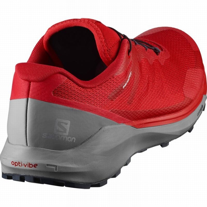 Red Salomon SENSE RIDE 3 Men's Running Shoes | AE-230UQEI