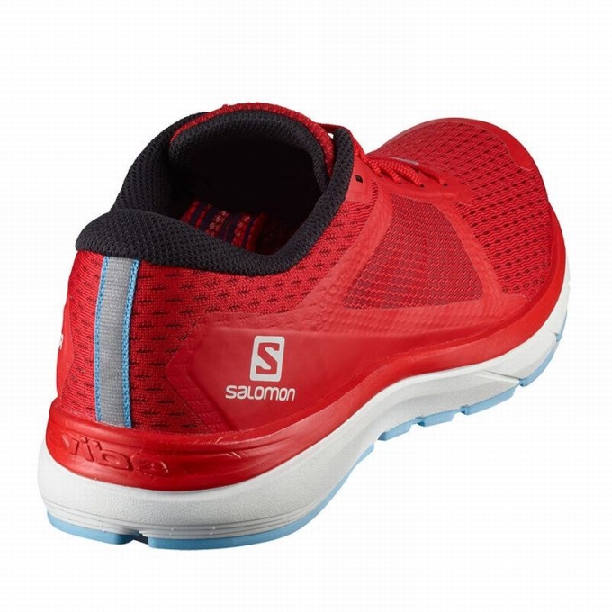 Red Salomon VECTUR Men's Running Shoes | AE-819YNVK