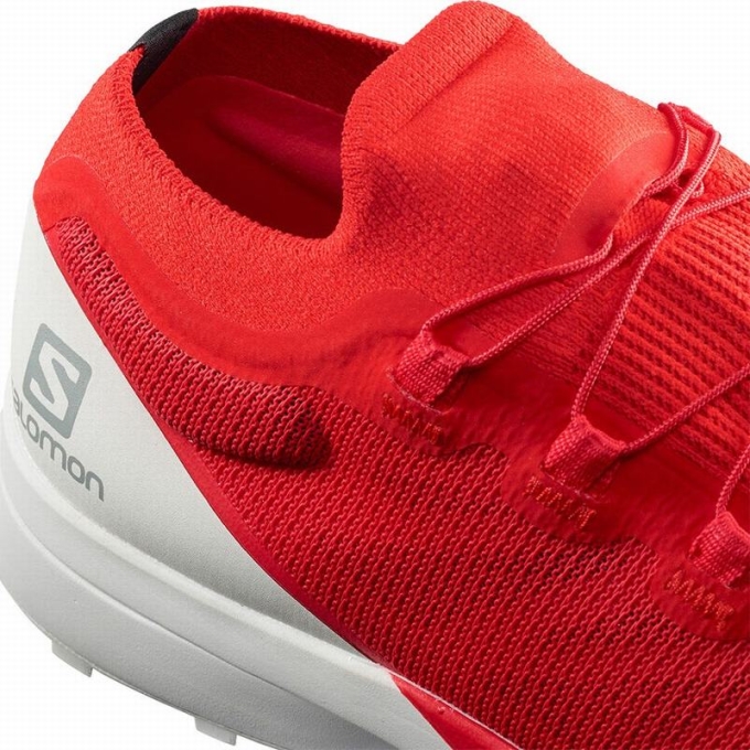 Red / White Salomon S/LAB SENSE 8 Men's Trail Running Shoes | AE-956ATBD