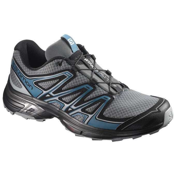 Silver / Black Salomon WINGS FLYTE 2 Men\'s Trail Running Shoes | AE-678TDBJ