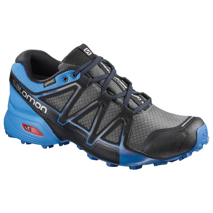 Silver / Blue Salomon SPEEDCROSS VARIO 2 GTX Men\'s Trail Running Shoes | AE-195XWIL