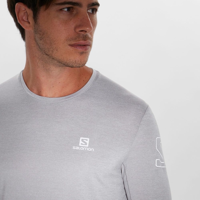 Silver Salomon OUTLINE Long Sleeve Men's T Shirts | AE-165DZBH