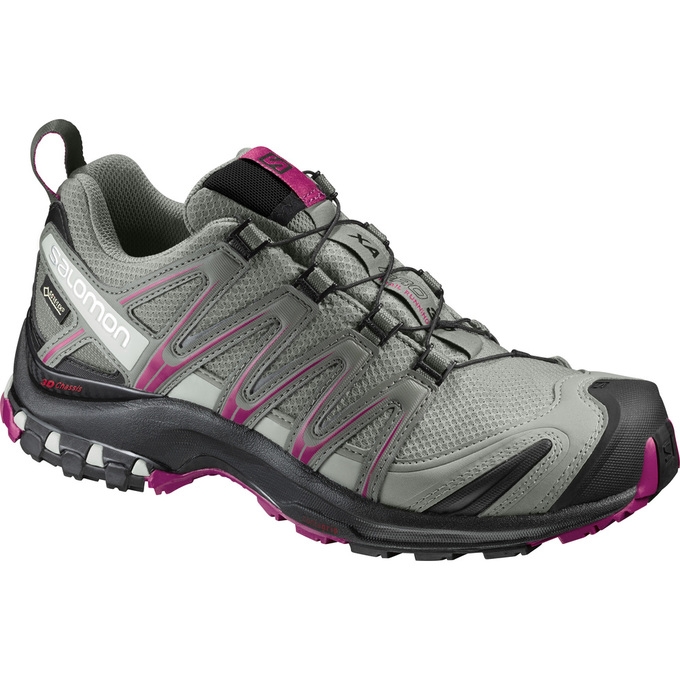 Silver Salomon XA PRO 3D GTX W Women\'s Trail Running Shoes | AE-860GMPT