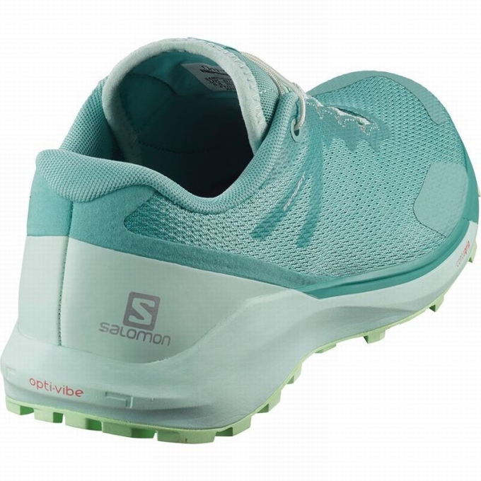 Turquoise / Green Salomon SENSE RIDE 3 W Women's Running Shoes | AE-721RQIB