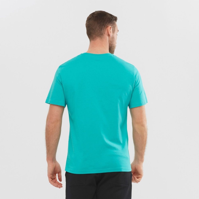 Turquoise Salomon OUTLIFE GRAPHIC DISRUPTED LOGO SS M Short Sleeve Men's T Shirts | AE-471DZVT