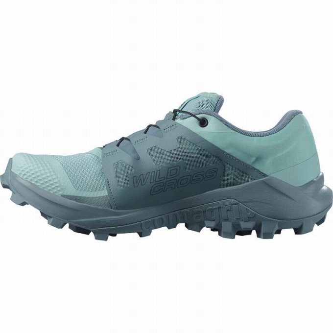 Turquoise / Turquoise Salomon WILDCROSS GTX Women's Trail Running Shoes | AE-789NXDL