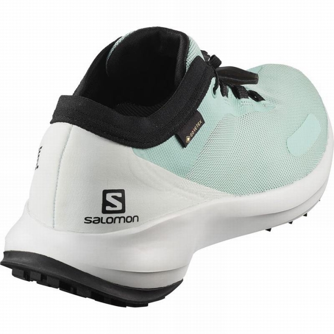 Turquoise / White Salomon SENSE FEEL GTX W Women's Trail Running Shoes | AE-845HVWI