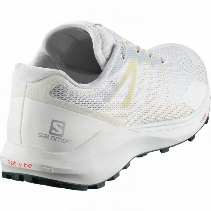 White Salomon SENSE RIDE 3 Men's Trail Running Shoes | AE-528VMST