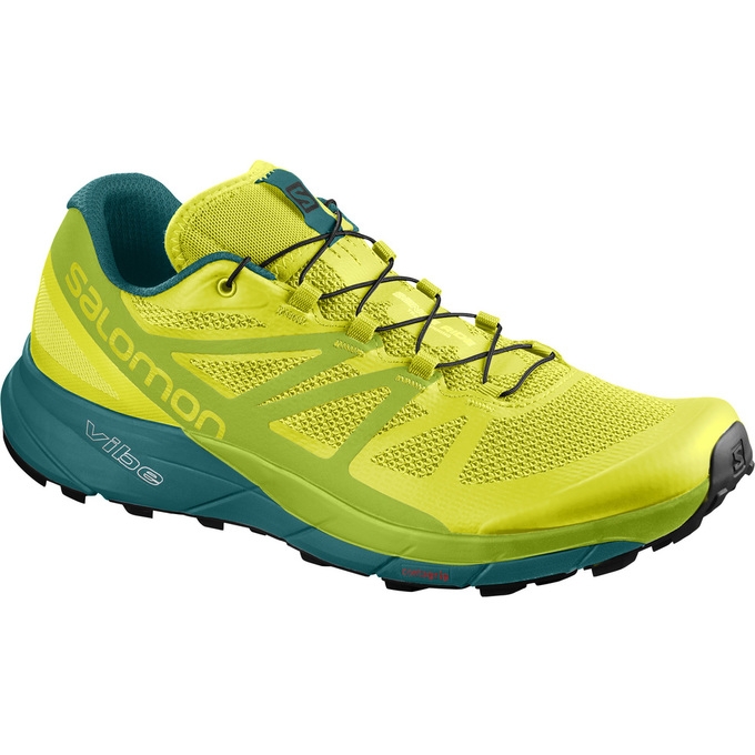 Yellow / Green Salomon SENSE RIDE Men\'s Trail Running Shoes | AE-827QCIK