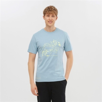 Ashley Blue Salomon OUTLIFE GRAPHIC SALOMONOTONE SS M Short Sleeve Men's T Shirts | AE-056CVUB