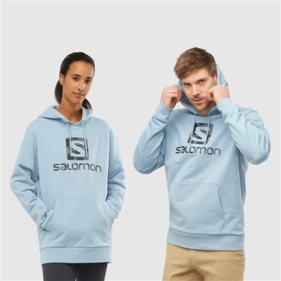 Ashley Blue Salomon OUTLIFE LOGO SUMMER Sportswear Men's Hoodie | AE-497FJCR