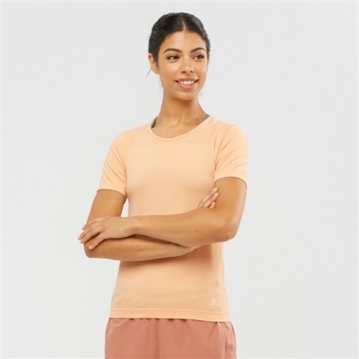 Beige Salomon ESSENTIAL MOVE ON SEAMLESS Women's T Shirts | AE-739DGRX