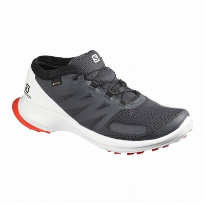 Black Salomon SENSE FLOW GTX Men's Trail Running Shoes | AE-295LIDO