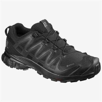 Black Salomon XA PRO 3D V8 GORE TEX Women's Hiking Shoes | AE-390FRGZ