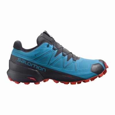 Blue / Black Salomon SPEEDCROSS 5 GORE-TEX Men's Trail Running Shoes | AE-265OPSD