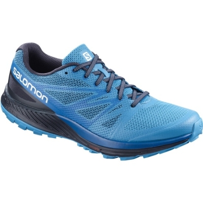 Blue / Navy Salomon SENSE ESE Men's Trail Running Shoes | AE-536YOSZ