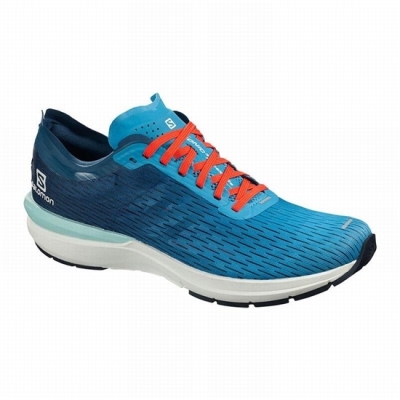 Blue / Navy Salomon SONIC 3 ACCELERATE Men's Running Shoes | AE-732JKFU