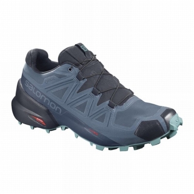 Blue / Navy Salomon SPEEDCROSS 5 GORE-TEX Women's Trail Running Shoes | AE-102KYXW