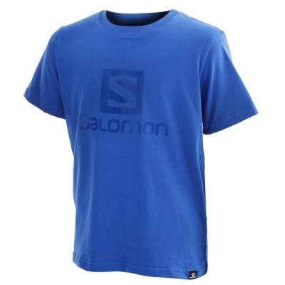 Blue Salomon ACHIEVE SS B Kids' T Shirts | AE-486AKXZ