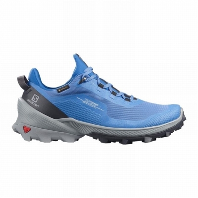 Blue Salomon CROSS OVER GORE-TEX Women's Hiking Shoes | AE-760WLKQ