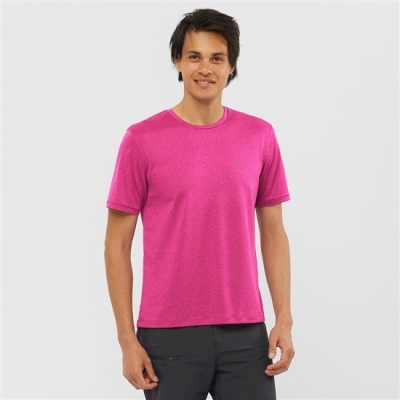 Blue Salomon EXPLORE M Short Sleeve Men's T Shirts | AE-284QTKS