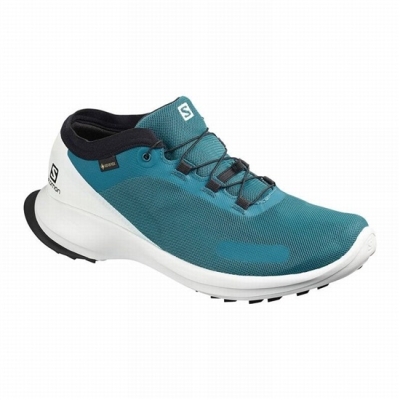 Blue Salomon SENSE FEEL GTX Men's Trail Running Shoes | AE-127GPNW