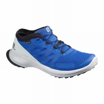 Blue Salomon SENSE FLOW GTX Men's Trail Running Shoes | AE-651FRBS