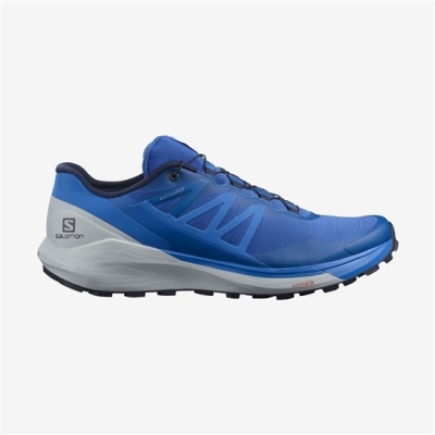 Blue Salomon SENSE RIDE 4 Men's Trail Running Shoes | AE-546PYBF