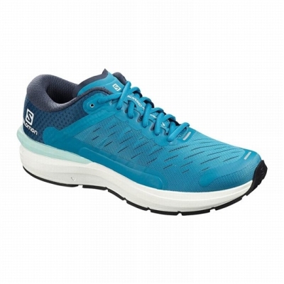 Blue Salomon SONIC 3 CONFIDENCE Men's Running Shoes | AE-827KHUJ