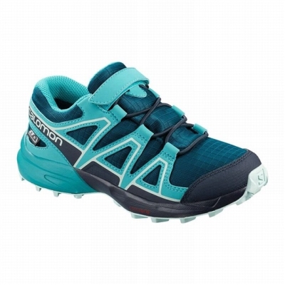 Blue Salomon SPEEDCROSS CLIMASALOMON WATERPROOF Kids' Trail Running Shoes | AE-259HSWE