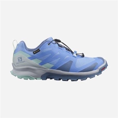 Blue Salomon XA ROGG GTX W Women's Trail Running Shoes | AE-087CSXP