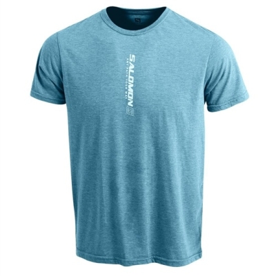 Blue Salomon YAEL SS M Men's T Shirts | AE-648TSHZ