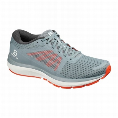 Blue / White Salomon VECTUR Men's Running Shoes | AE-184IGEJ