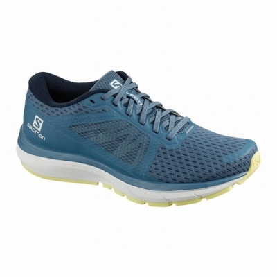 Blue / White Salomon VECTUR Women's Running Shoes | AE-671JAXE