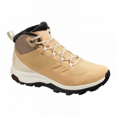 Brown Salomon OUTSNAP CLIMASALOMON WATERPROOF Women's Winter Boots | AE-923UIAO