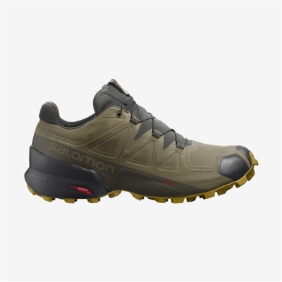 Brown Salomon SPEEDCROSS 5 GORE-TEX Men's Trail Running Shoes | AE-095OXQF