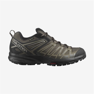 Brown Salomon X CREST GORE-TEX Men's Hiking Shoes | AE-856XLHR