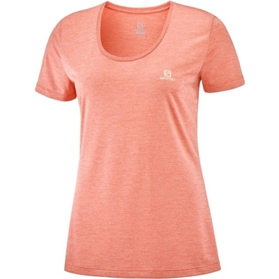 Coral Salomon AGILE SS W Women's T Shirts | AE-763LNBW