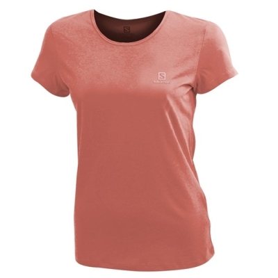 Coral Salomon LOGO SS W Women's T Shirts | AE-921JAOX